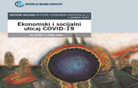 VSI učestvovao u fokus grupi Svjetske banke o utjecaju COVID-a na rješavanje privrednih sporova